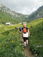 YOUrALPS Summer school