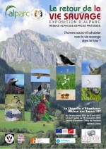 The Alps through Time