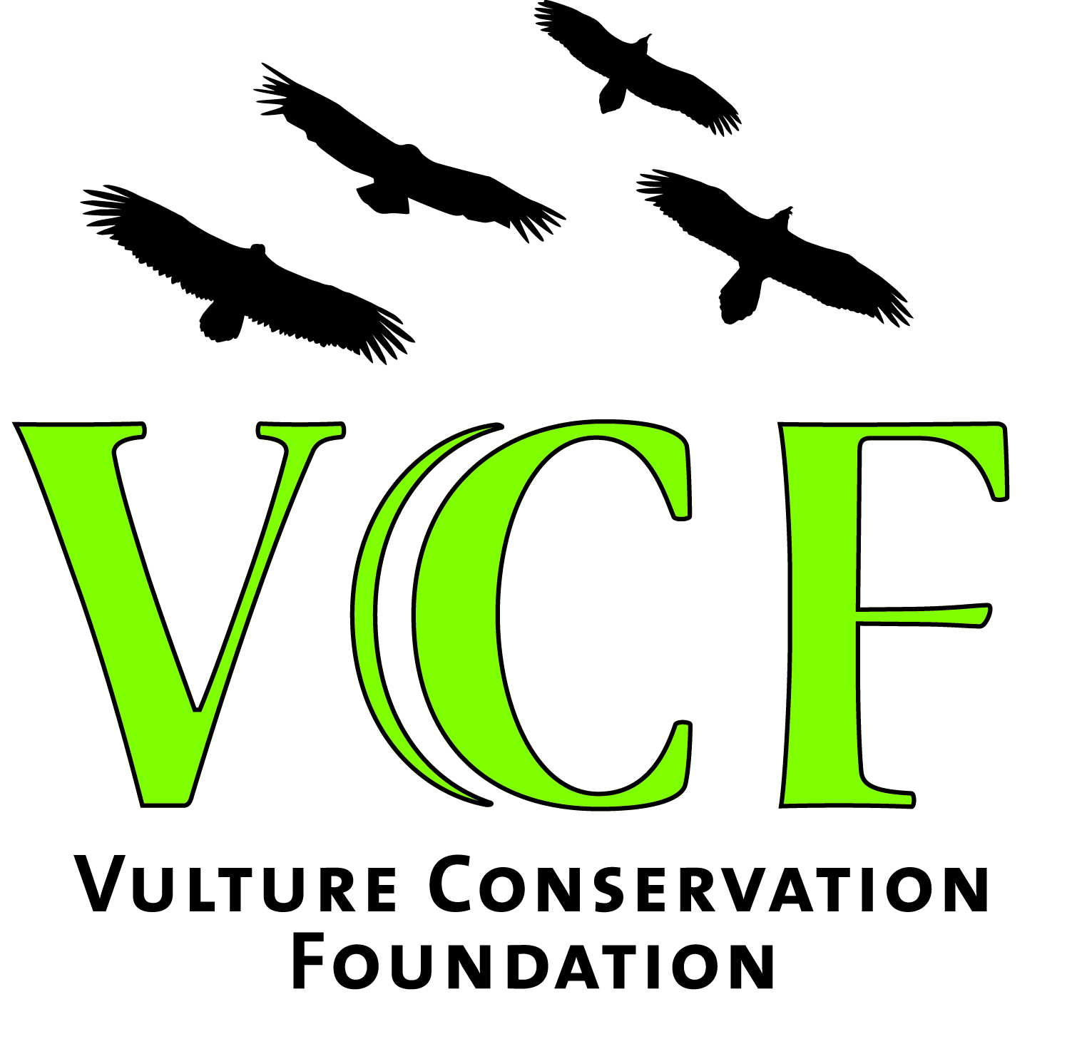 Logo VCF 2