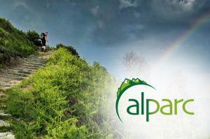 Analysis and evaluation of the Alpine Ecological Network