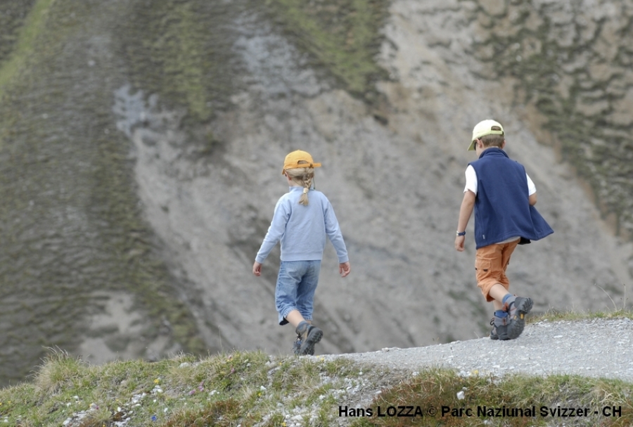 Mountain environmental education in 2014