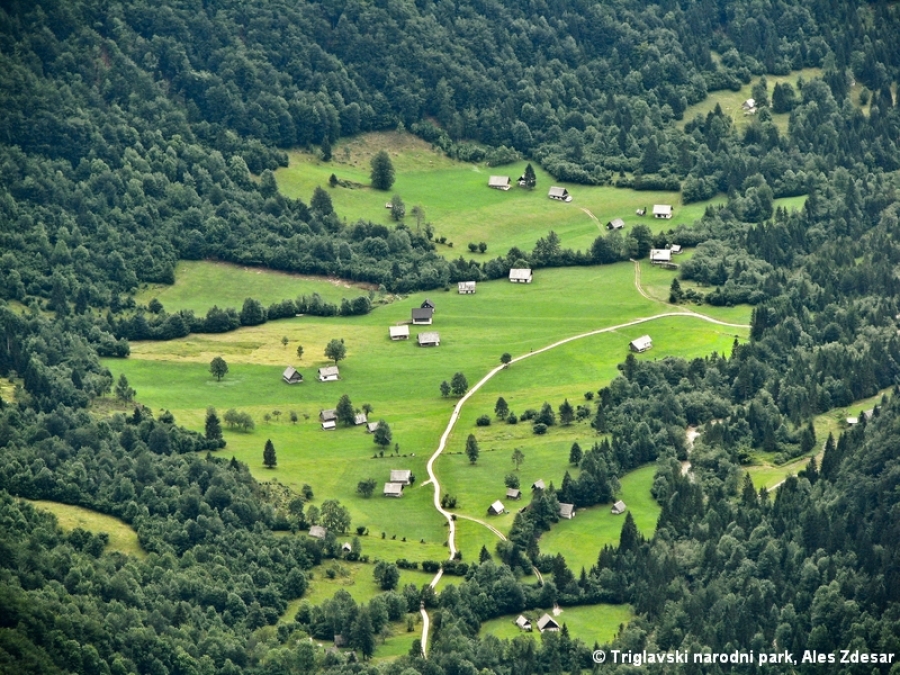Prealpi Giulie and the Triglav Parks recognized as official transboundary pilot region for ecological connectivity