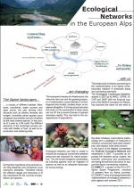 Poster - Ecological Networks in the European Alps