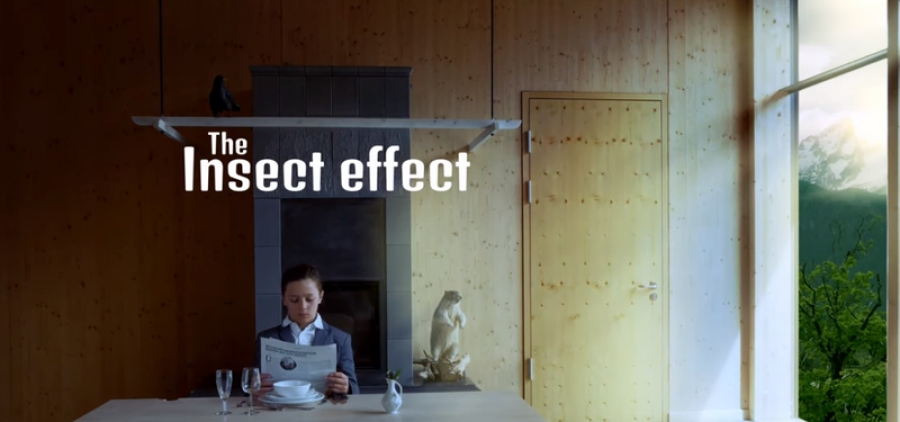 Youth Video: The Insect Effect - How our Lives Depend on Insects
