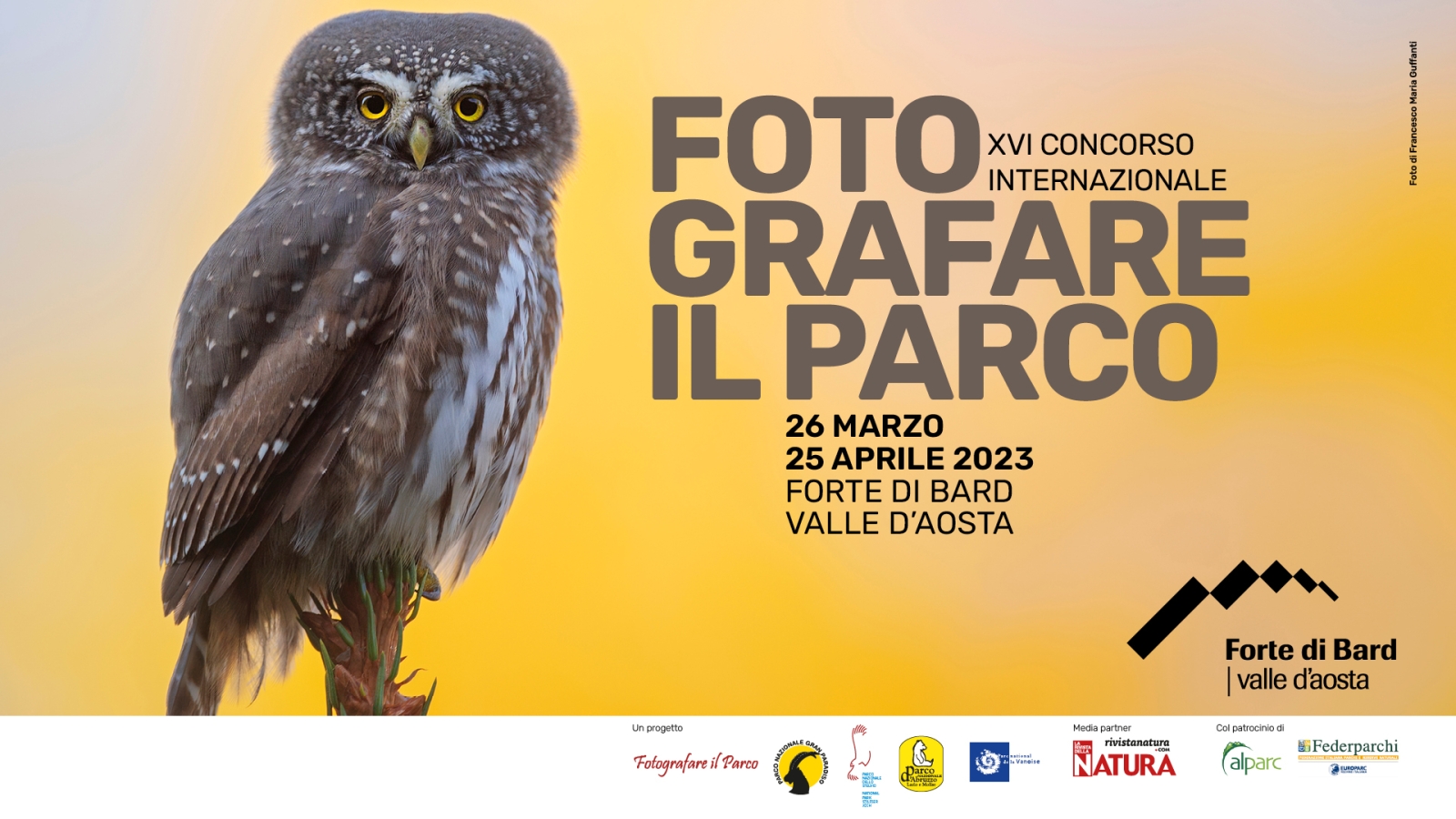 International photo contest “Fotografare Il Parco” - 15th edition