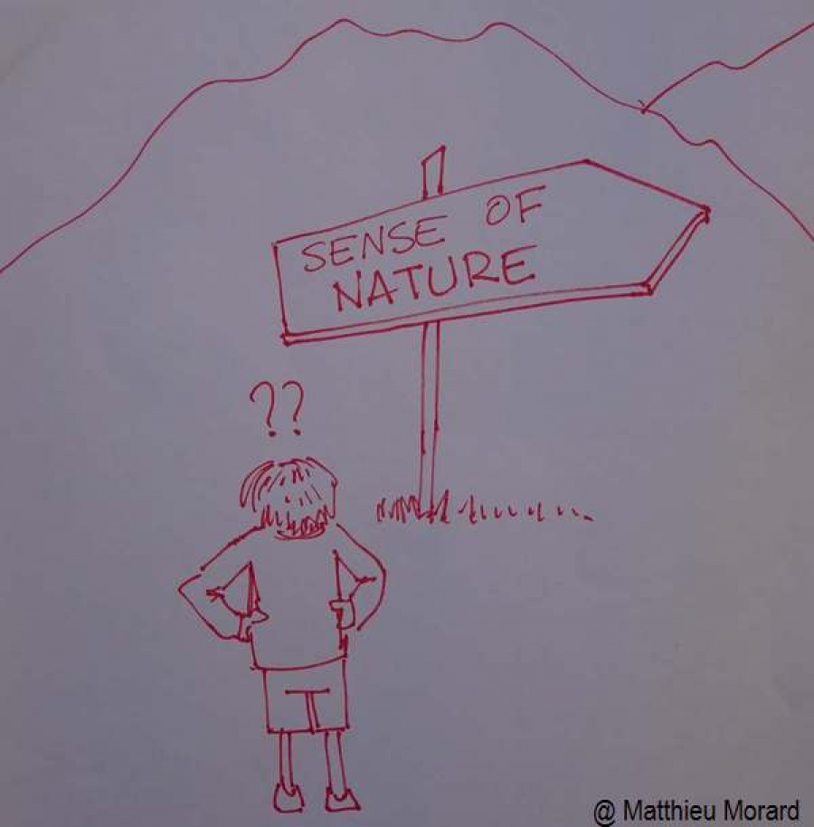 Mountain Environmental Education: Feedback on Some Very Successful Meetings
