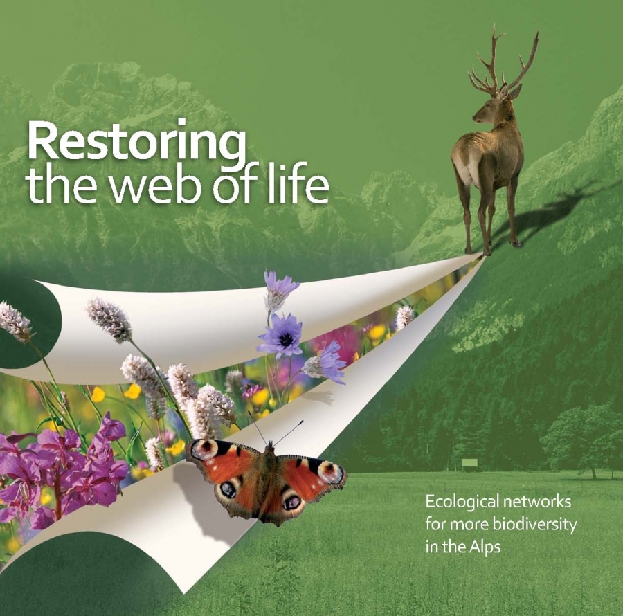 Restoring the Web of Life