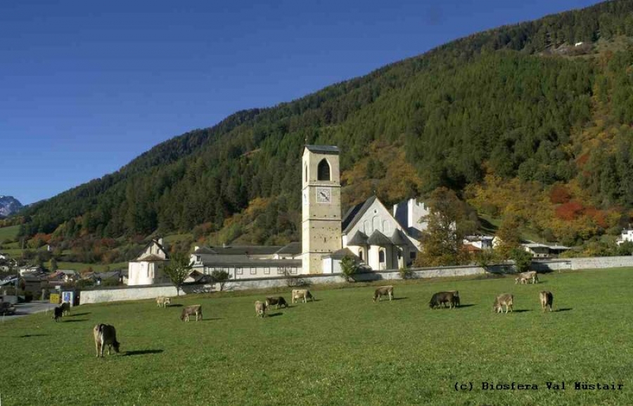 The Regional Nature Park Biosfera Val Müstair