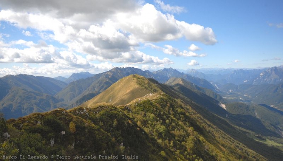 Among &quot;stavoli&quot;, &quot;casere&quot; and paths: the natural regional Park of the Prealpi Giulie!